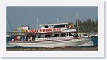 20080202 Key West 131 (Medium) * 800 x 393 * (52KB)